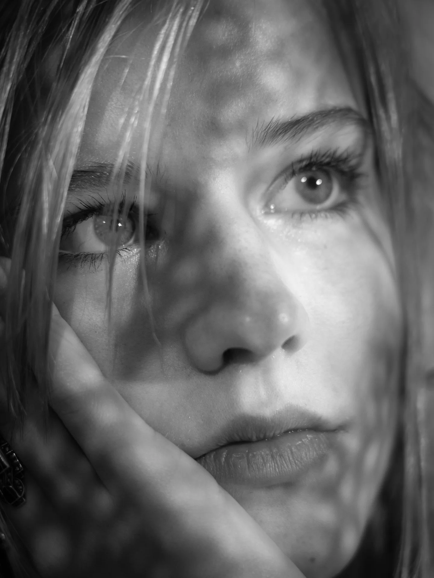 Fotografie van Bloesem Kneppers